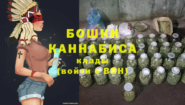 ПСИЛОЦИБИНОВЫЕ ГРИБЫ Белоозёрский
