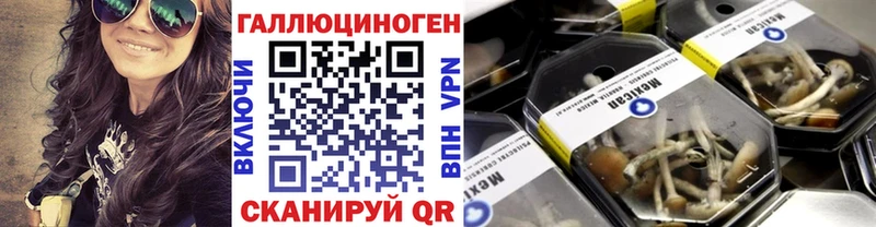 где можно купить   Шебекино  Галлюциногенные грибы MAGIC MUSHROOMS 