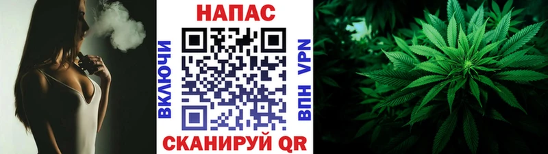 Шишки марихуана конопля Шебекино